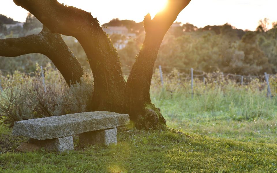 Domaine de Peretti della Rocca, 4-star hotel in Figari