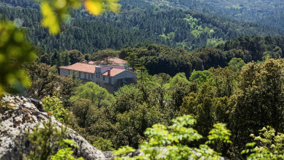 Domaine Le Mouflon d'Or 