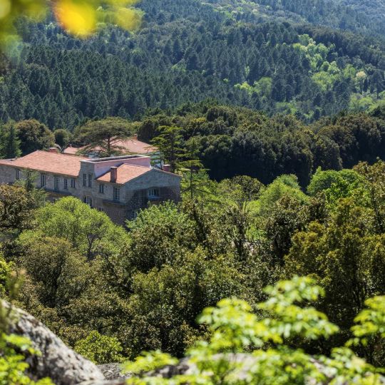 Domaine Le Mouflon d'Or 