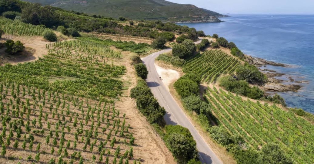 Le vignoble corse : le plus exotique des vignobles