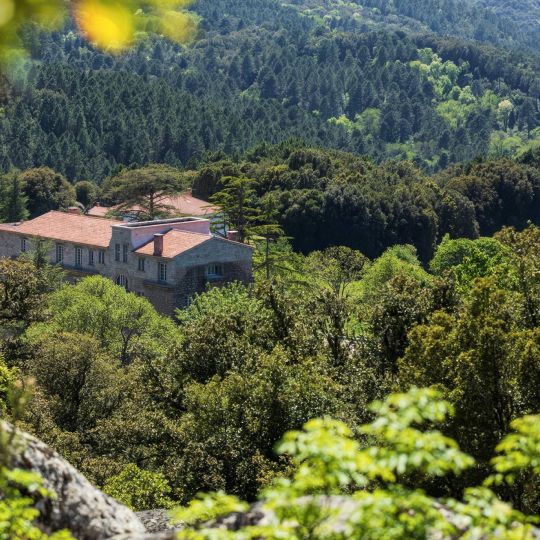 Domaine Le Mouflon d'Or 