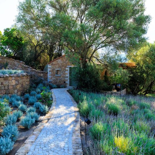 A Mandria di Murtoli 